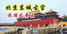 淫女淫屄水视频中国北京-东城古宫旅游风景区